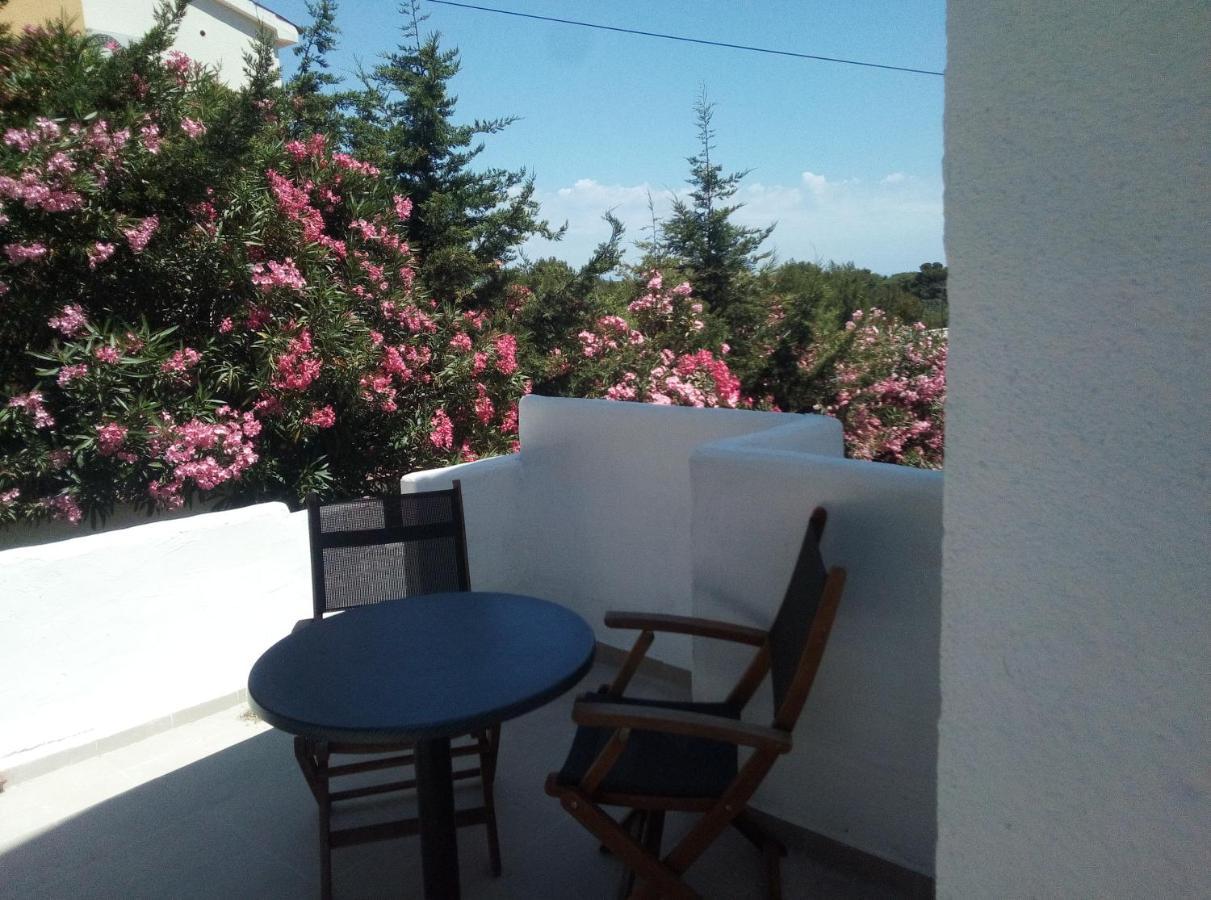 Apartments And Rooms Camelia Premantura Extérieur photo